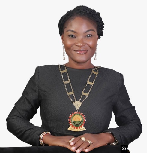 15th National Chairman, Engr (Dr) Mrs. Funmilade Akingbagbohun, FNSE, FNIMechE
